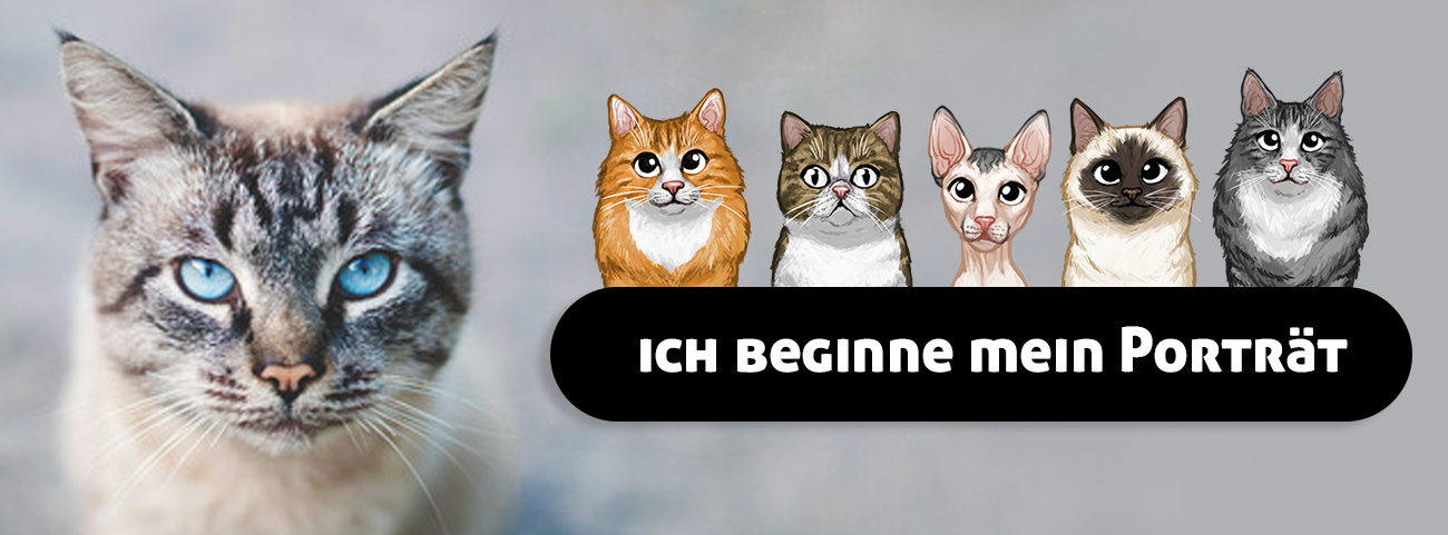 Geschenk-für-katze-Porträt-katze